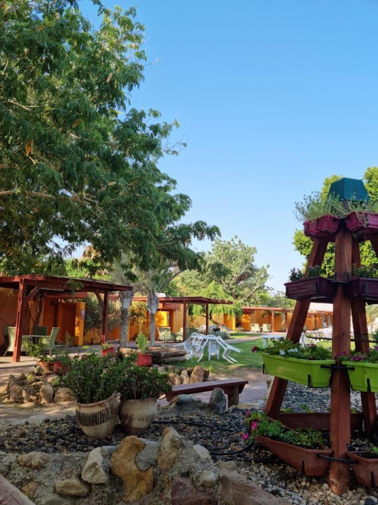 Elifaz Desert Experience Holiday 外观 照片