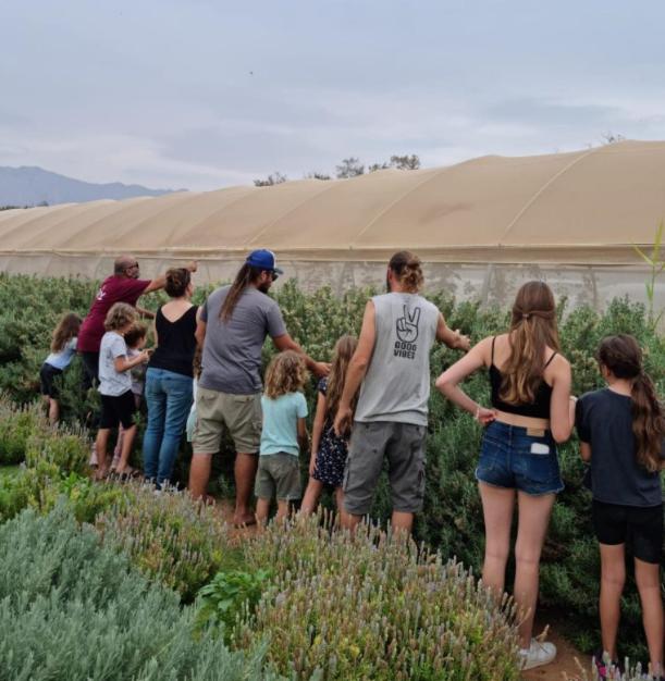 Elifaz Desert Experience Holiday 外观 照片