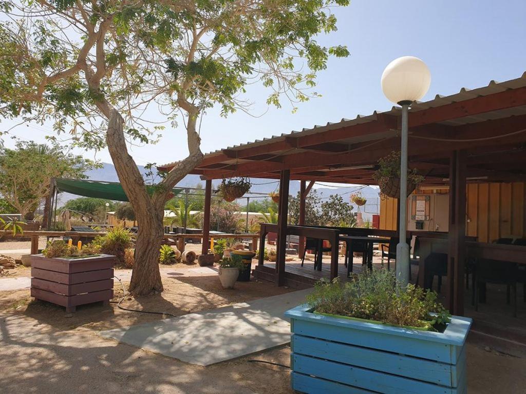 Elifaz Desert Experience Holiday 外观 照片