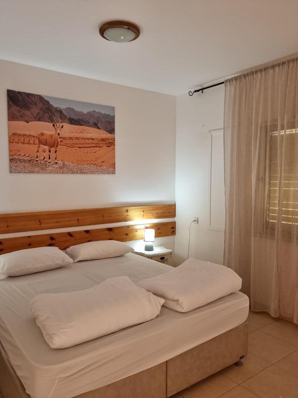 Elifaz Desert Experience Holiday 外观 照片
