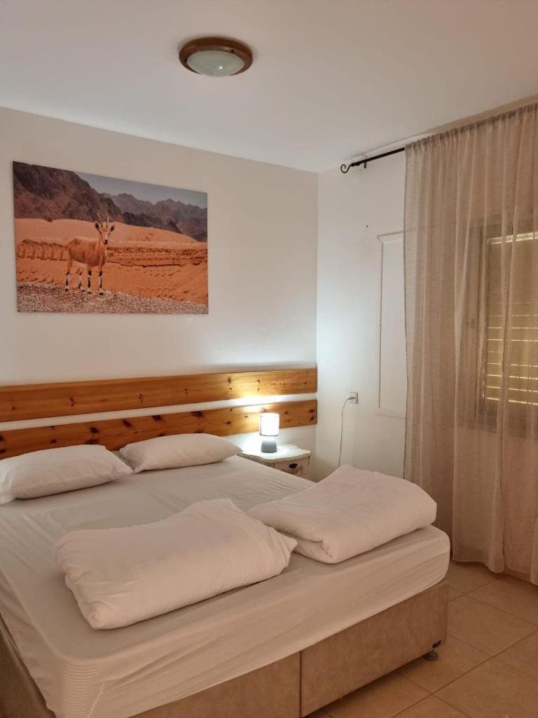 Elifaz Desert Experience Holiday 外观 照片