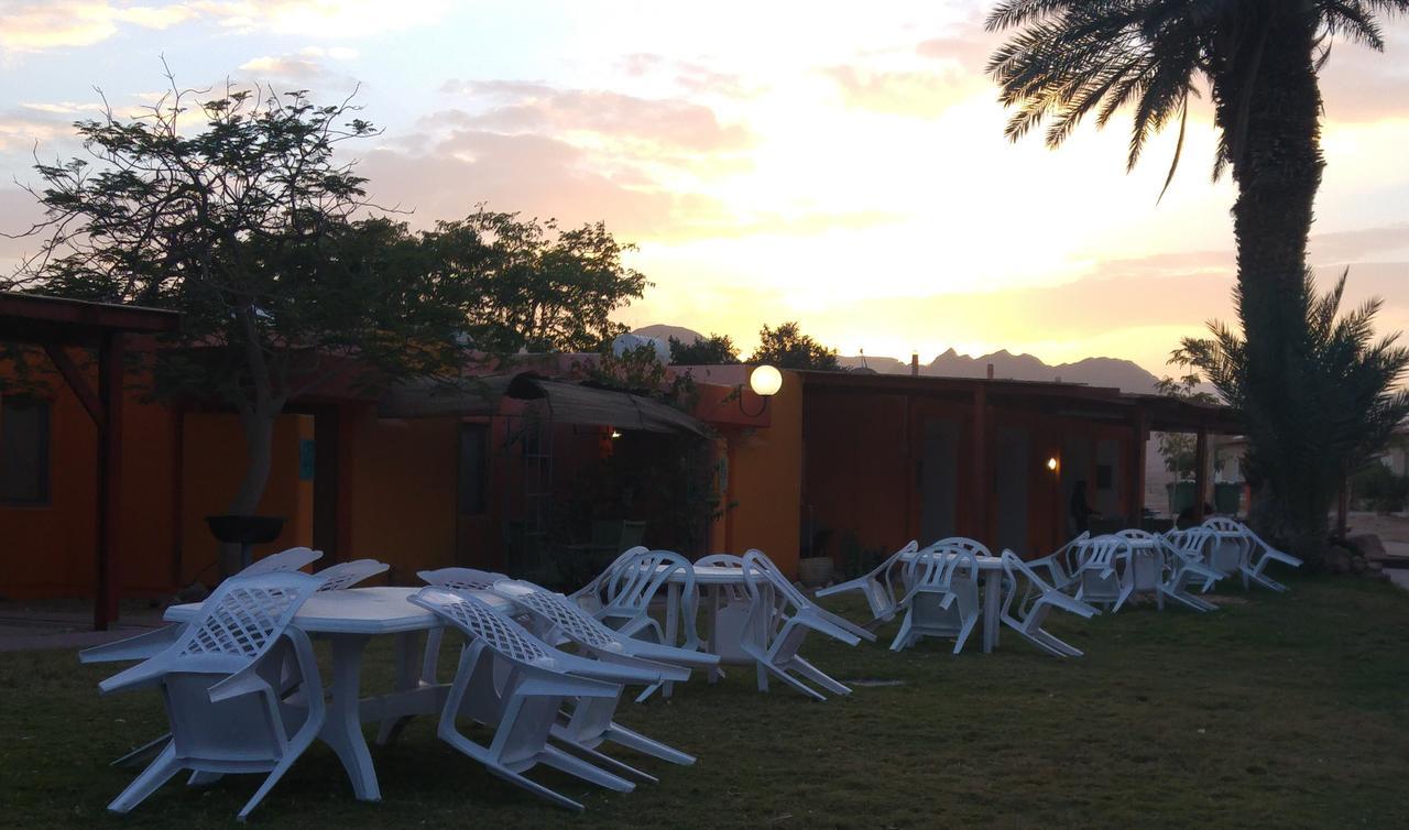 Elifaz Desert Experience Holiday 外观 照片